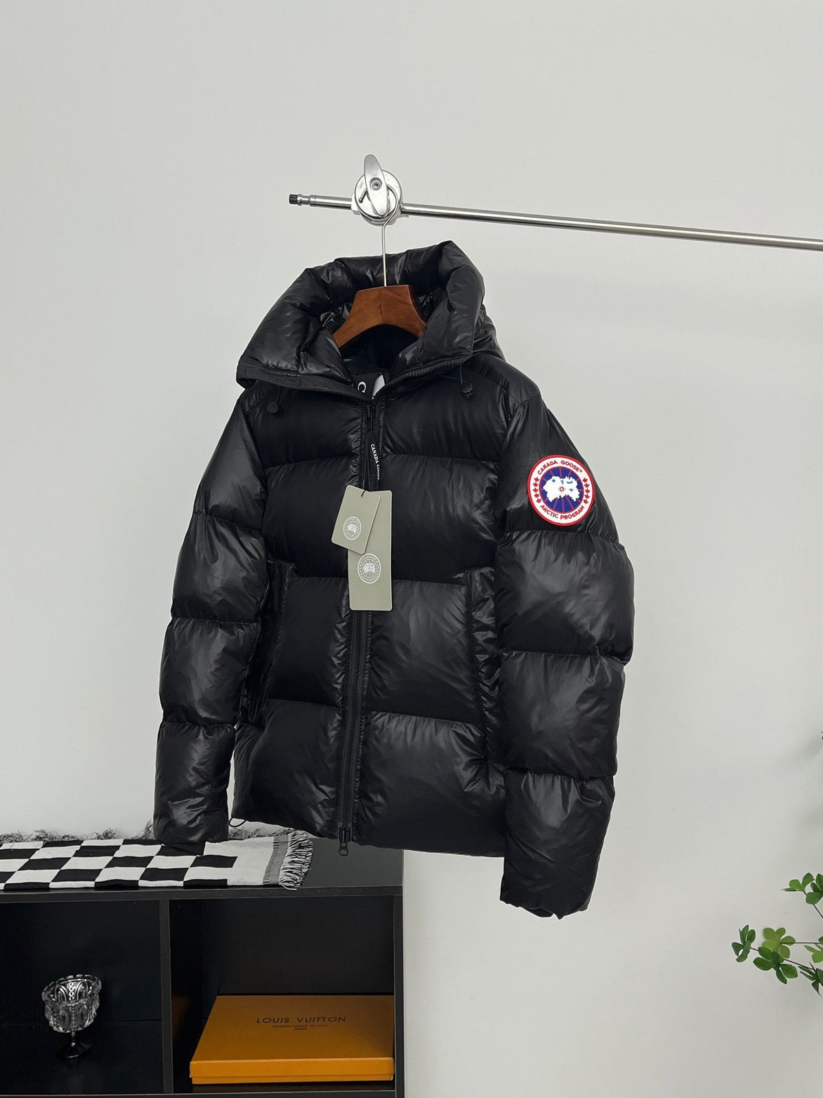 Black Canada Goose