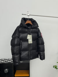 Black Canada Goose