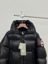 Black Canada Goose