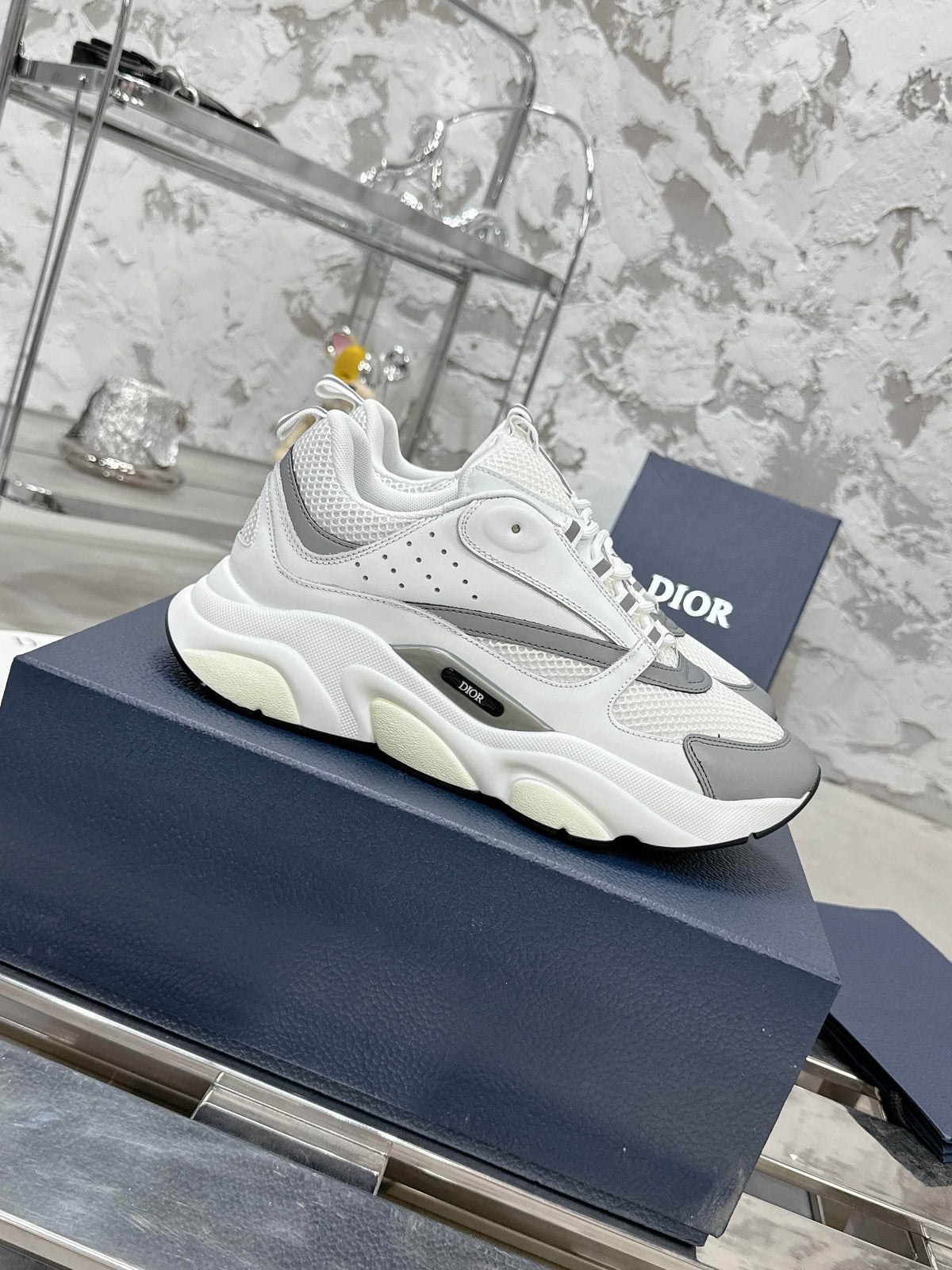 DIOR B22 White